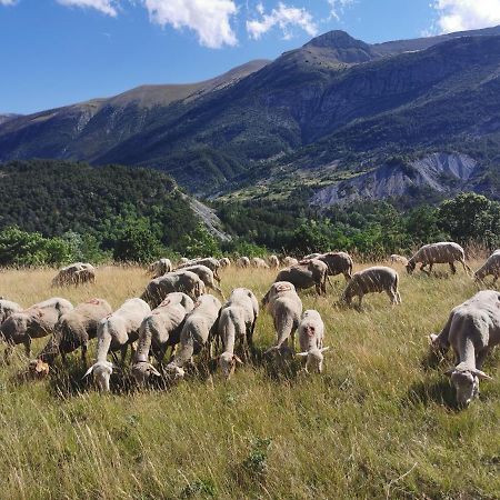 La Peyregoune, Logement En Pleine Nature Et Table D'Hotes Blieux Exterior foto